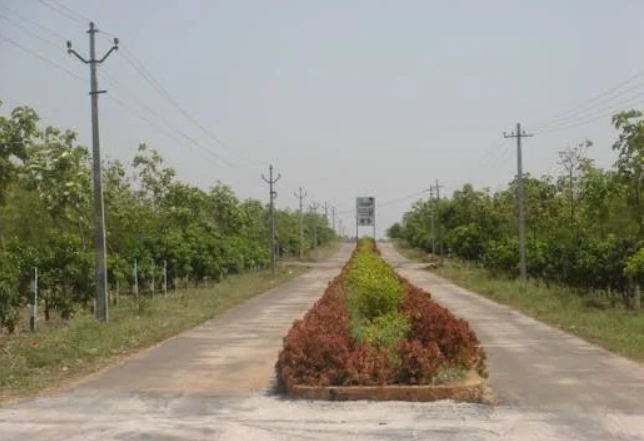 Janaharsha Dream City Ibrahimpatnam plot view 4