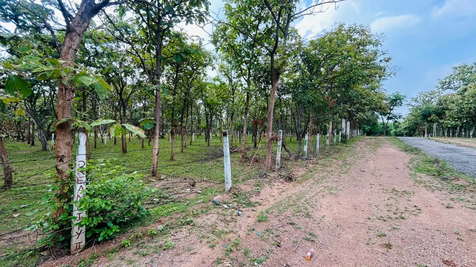 120 sq.yd plot for sale in Janaharsha Dream City Ibrahimpatnam